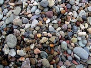 More About Choosing a WordPress Theme