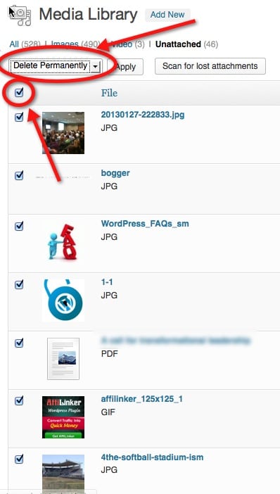 Delete WordPress Images