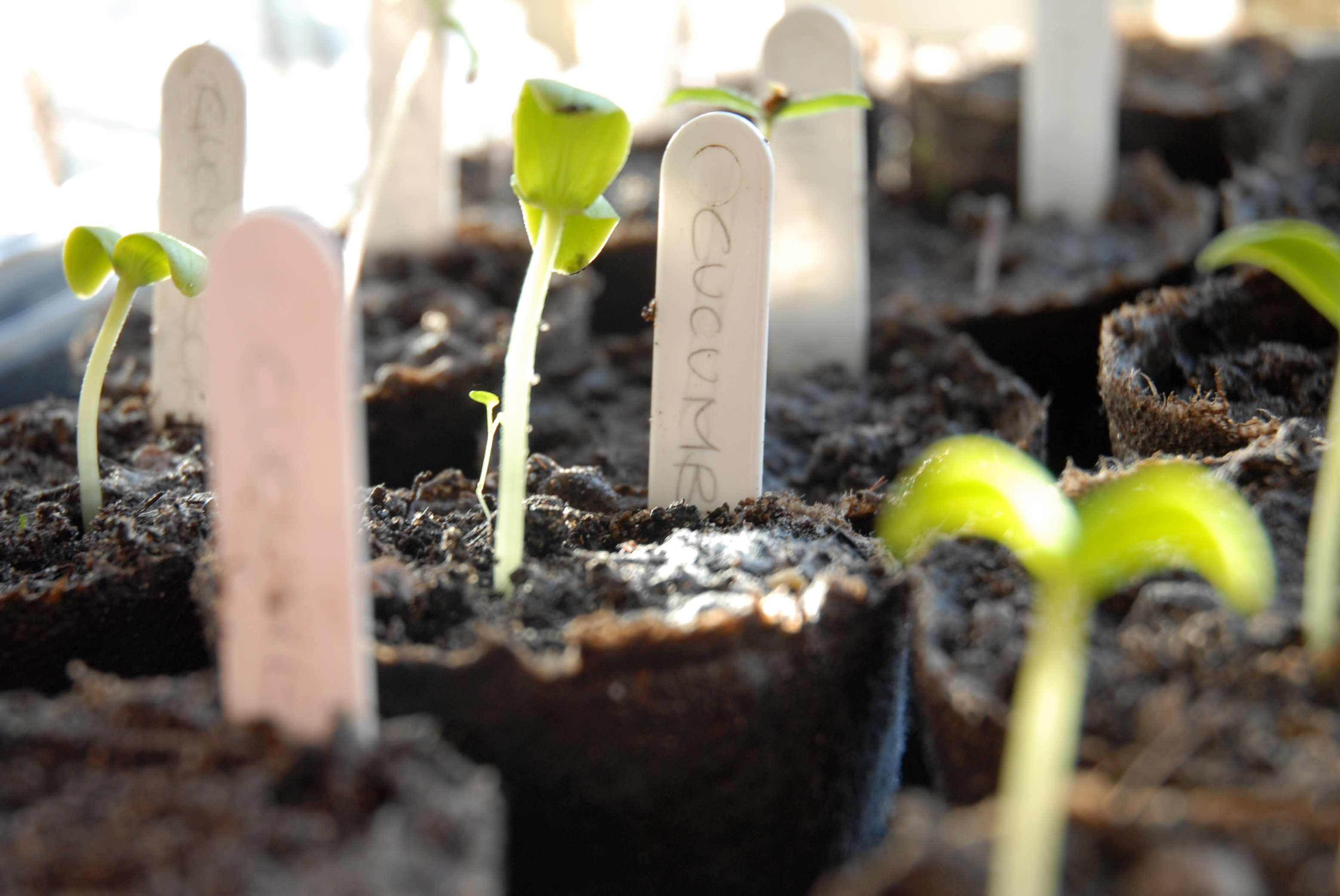 5 List Building Tips For Growing Your Subscriber Base Fast!