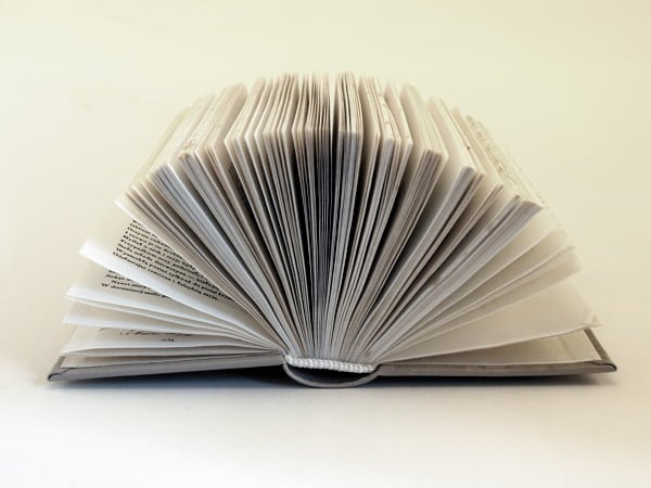 Pages vs. Posts