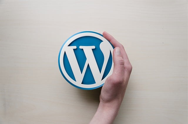 Why Use WordPress on Your Website: Three Great Reasons