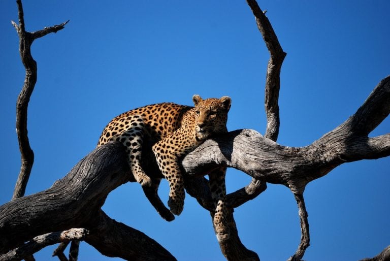 How to Overcome Laziness and Procrastination to Achieve Your Goals
